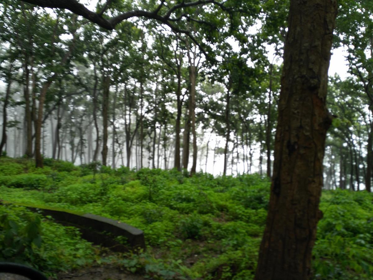 The Residency Bed and Breakfast Amarkantak Exterior foto