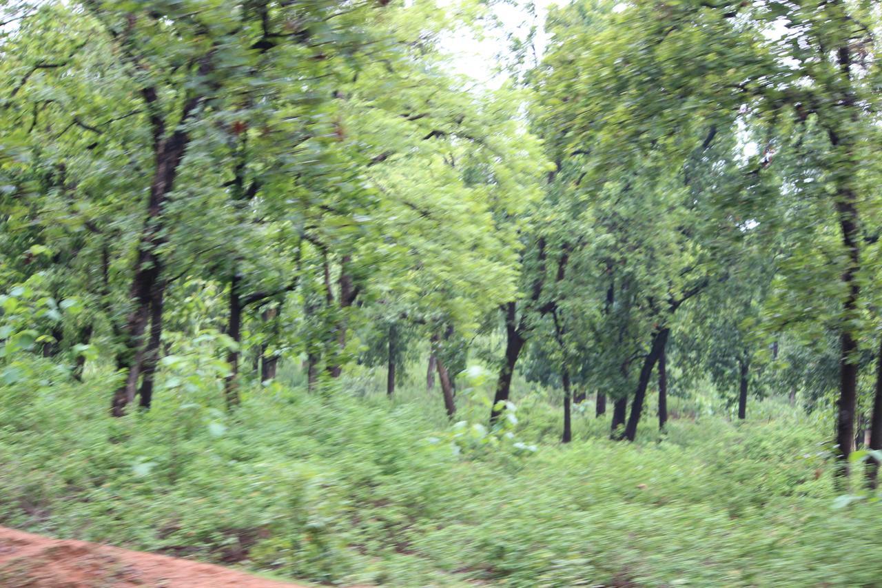 The Residency Bed and Breakfast Amarkantak Exterior foto
